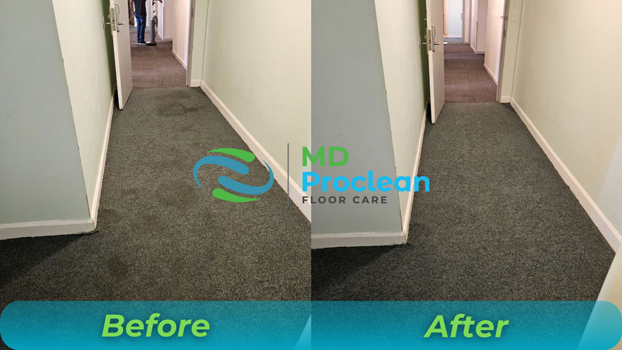 Commercial carpet cleaning before after